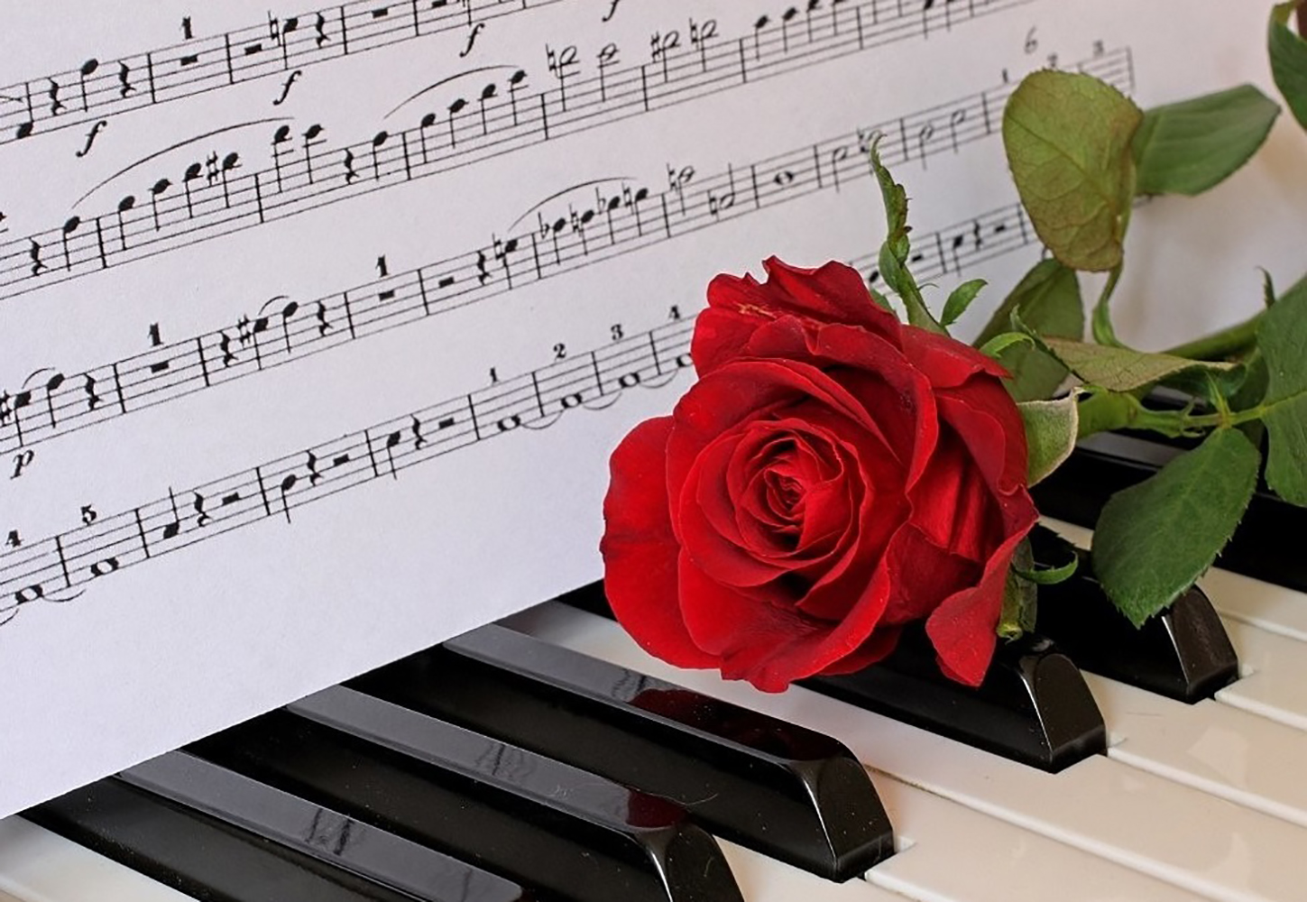 Фортепиано И Цветы