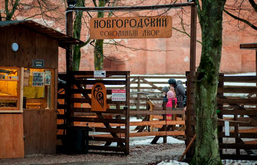 Соколиный двор великий новгород новгородский кремль фото
