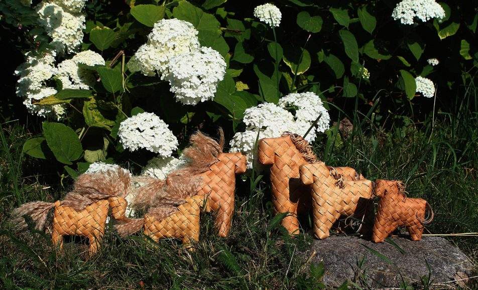 День бересты