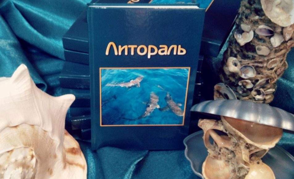 Литораль