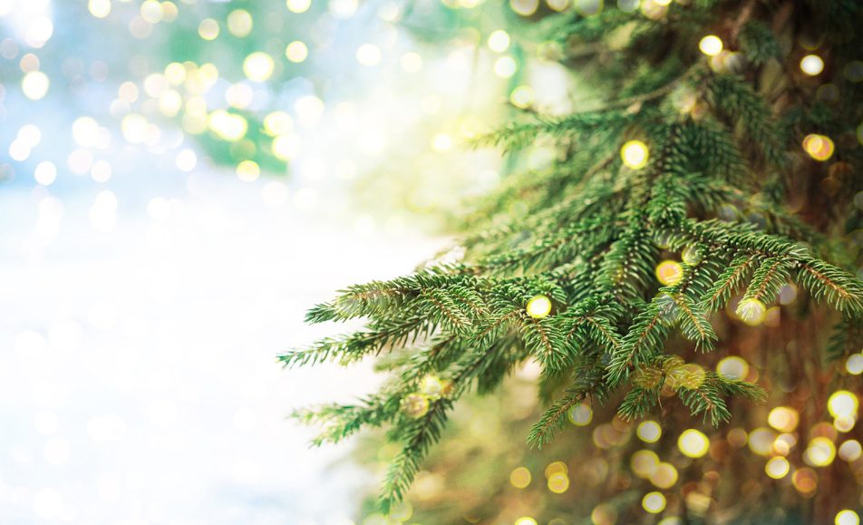 Каникулы в Юрьевском подворье