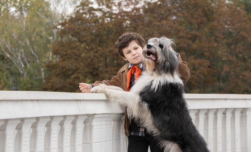 Каждый мечтает о собаке