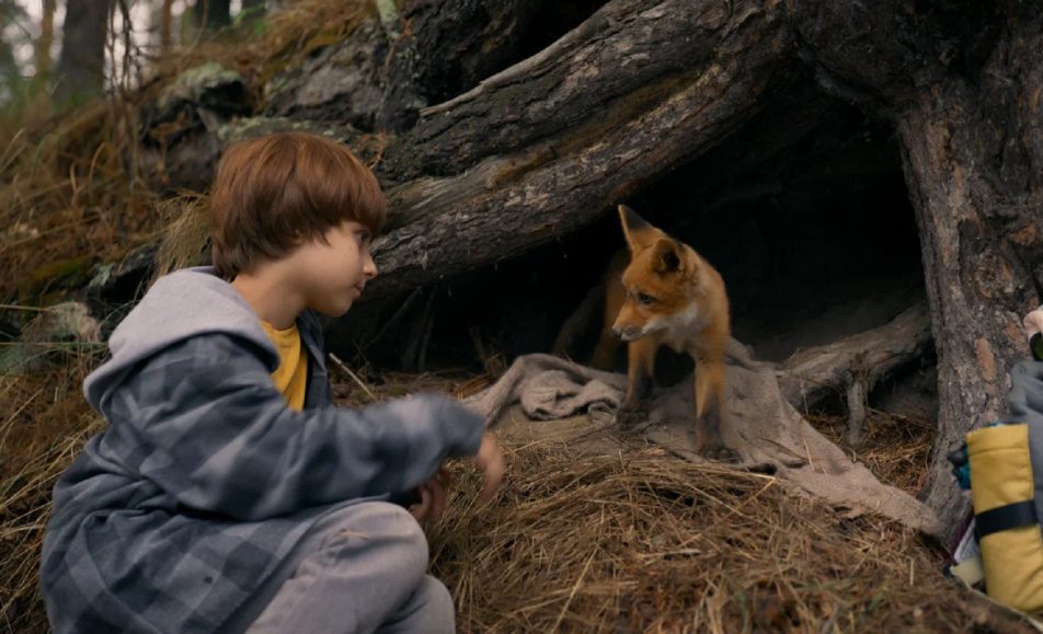 Мой дикий друг