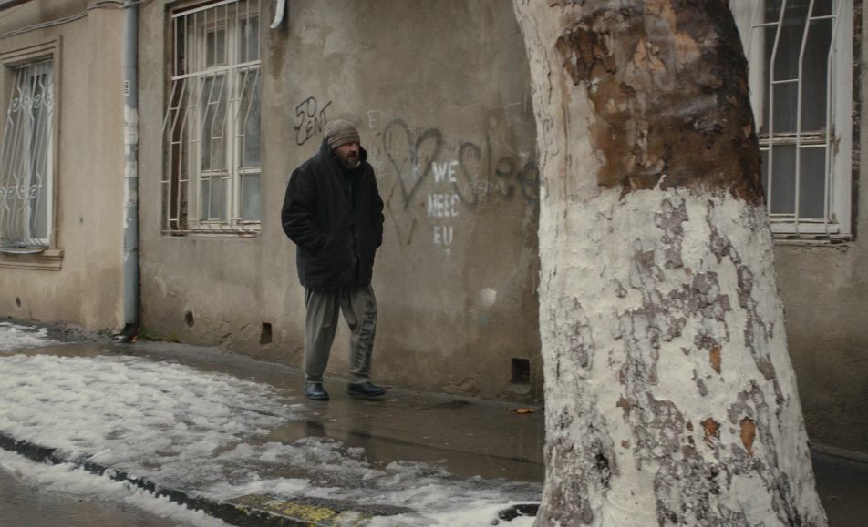 Снег в моем дворе