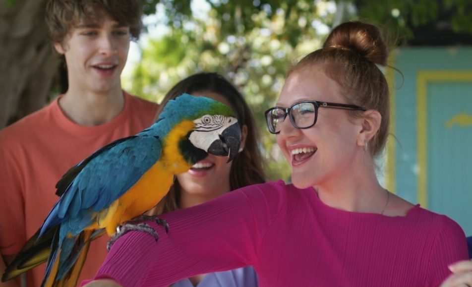 История дельфина: Каникулы на Багамах