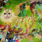 Последний романтик