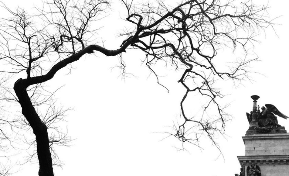 Фасеты Санкт – Петербурга