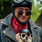 Приключения жёлтого чемоданчика