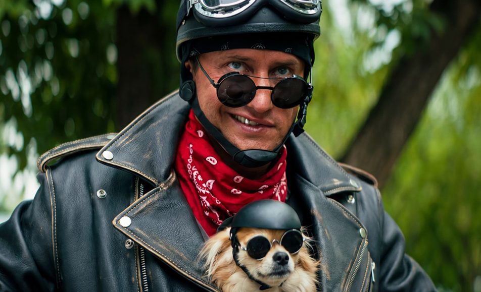 Приключения жёлтого чемоданчика