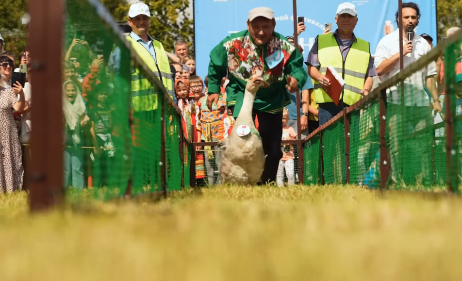 Гусиные бега